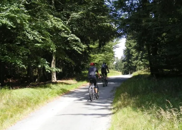 Birkenhain By Interhome *